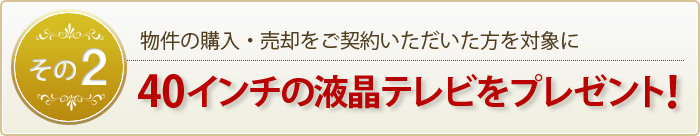 キャンペーン2